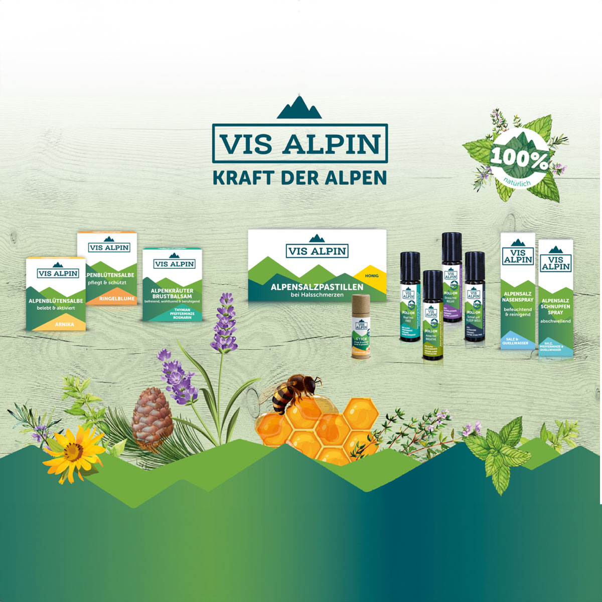 VIS ALPIN