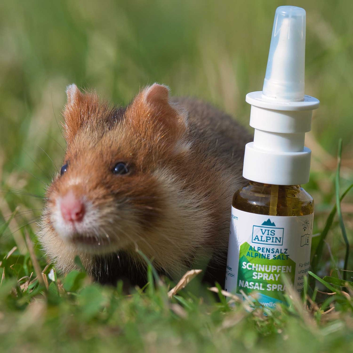 Schnupfenspray
