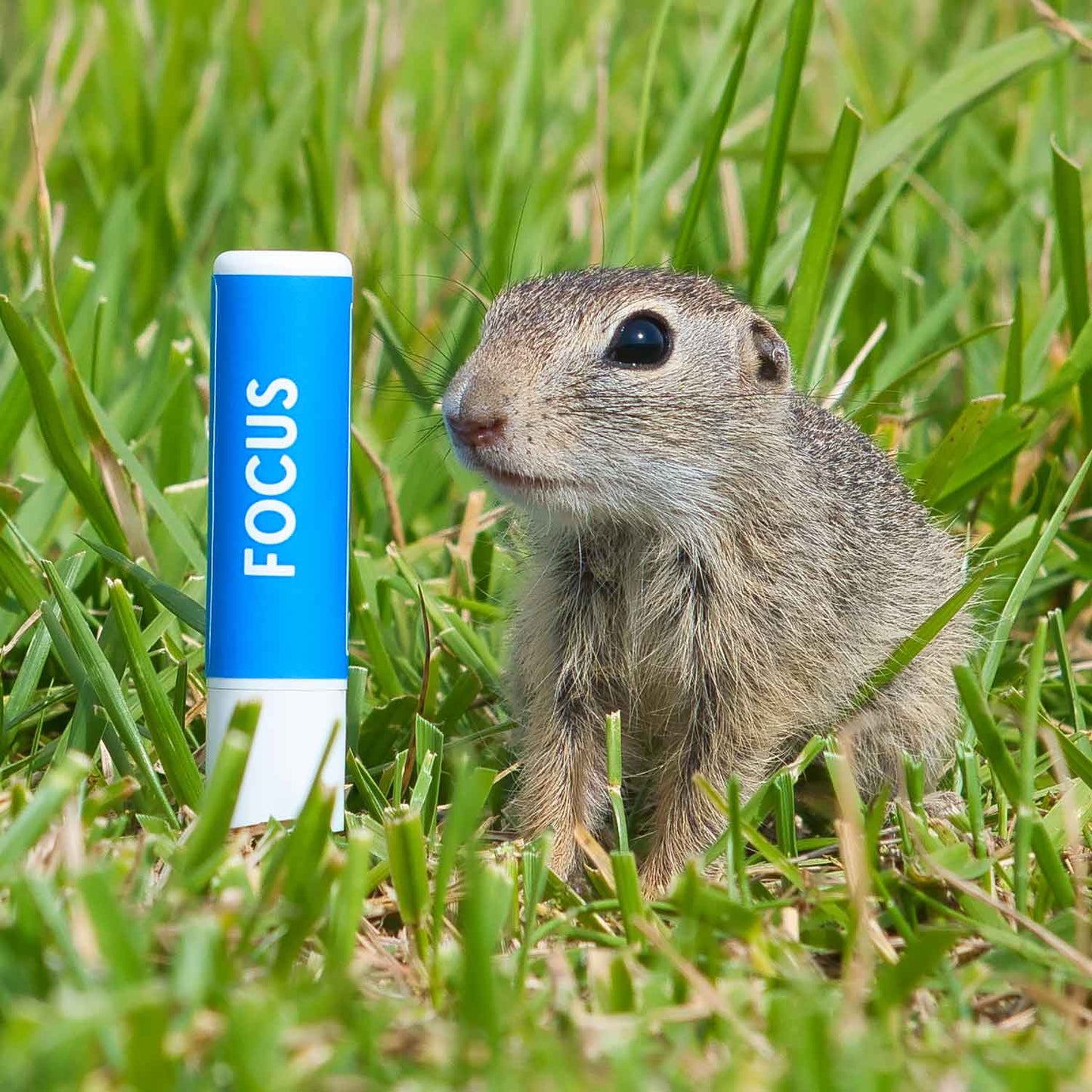 FOCUS Bio-Riechstift