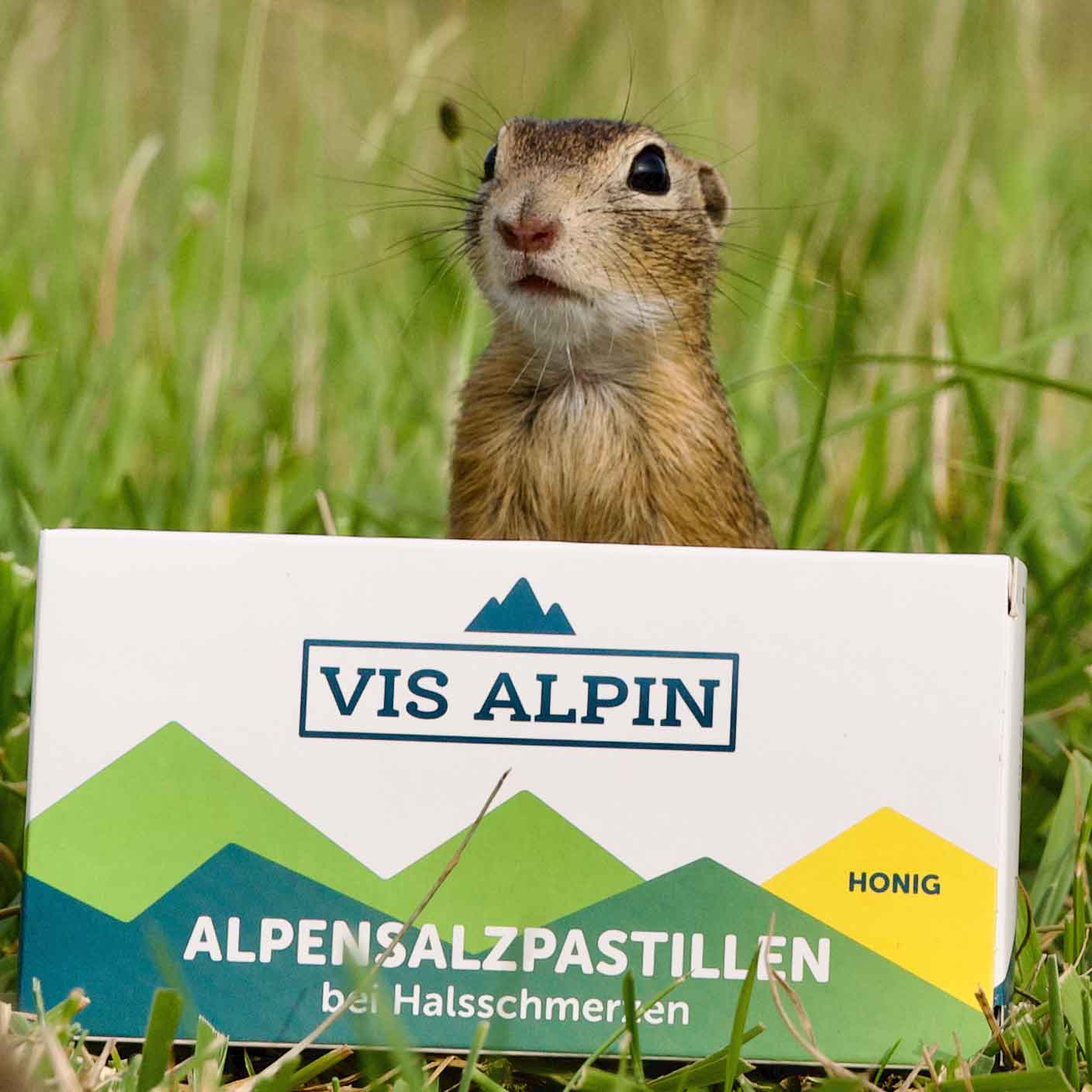 Halspastillen