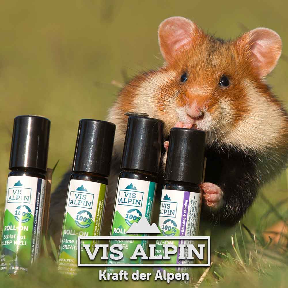 VIS ALPIN ätherische Bio-Öle + Bio-Roll-On-Set