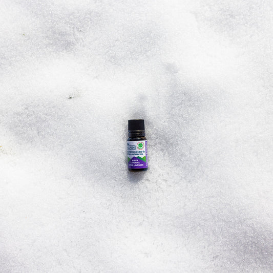 organic lavender essential oil